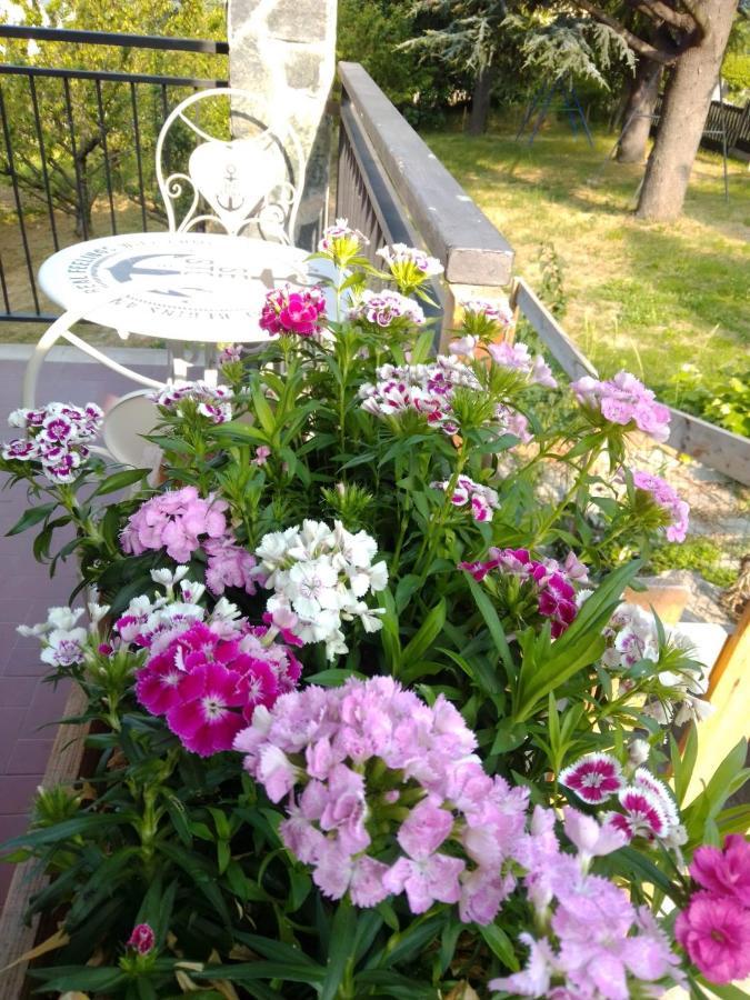 Casa T Bed And Breakfast & Home Restaurant Di Tacchino Simone Tagliolo Monferrato Extérieur photo